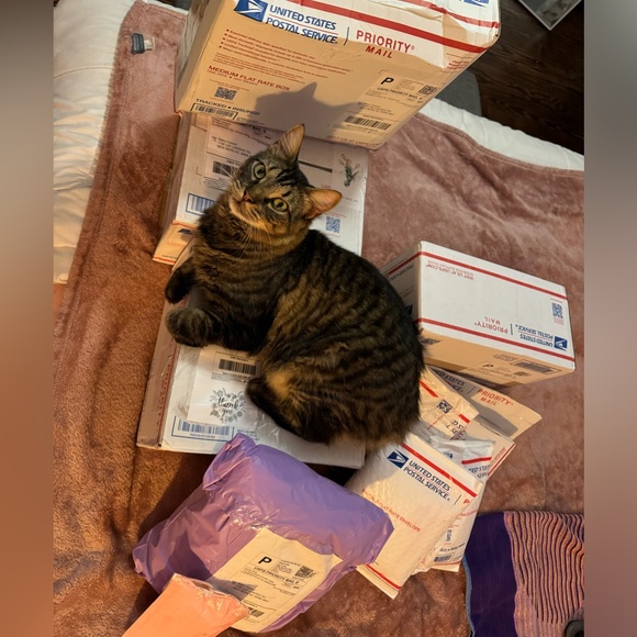 Your Posher, Stacy 🏎️💨 - Picture 9 of 16